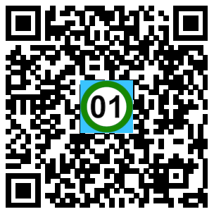 Scan de code