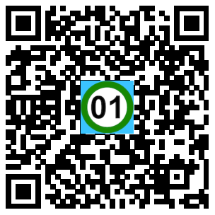 Scan de code
