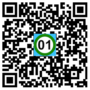 Scan de code