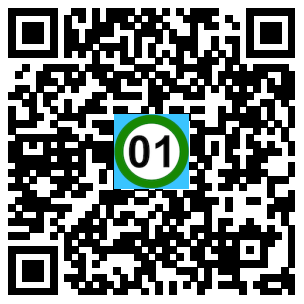Scan de code