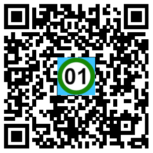 Scan de code
