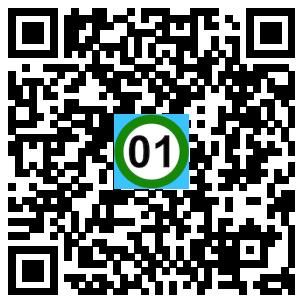 Scan de code