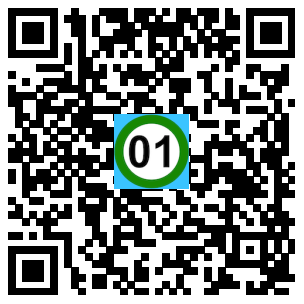 Scan de code