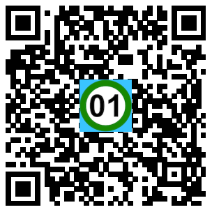 Scan de code