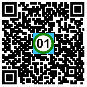 Scan de code