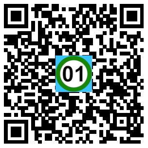 Scan de code