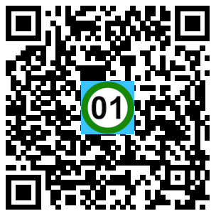 Scan de code