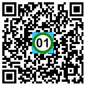 Scan de code