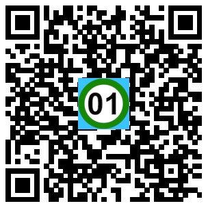 Scan de code