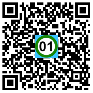 Scan de code