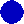 Marker